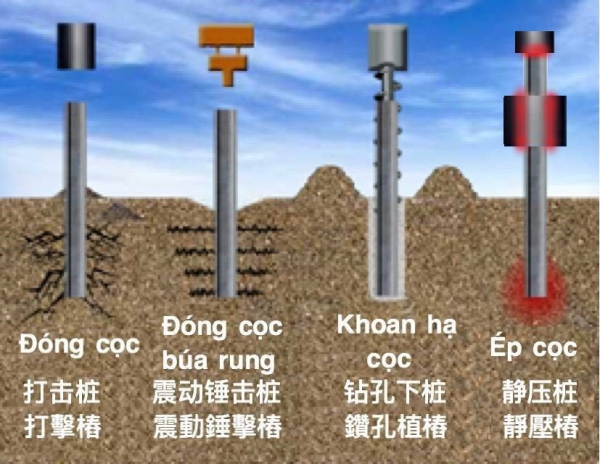 Năng lực hoạt động